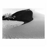 The seductive curves of Dune 45, Namibia. Black and White image.